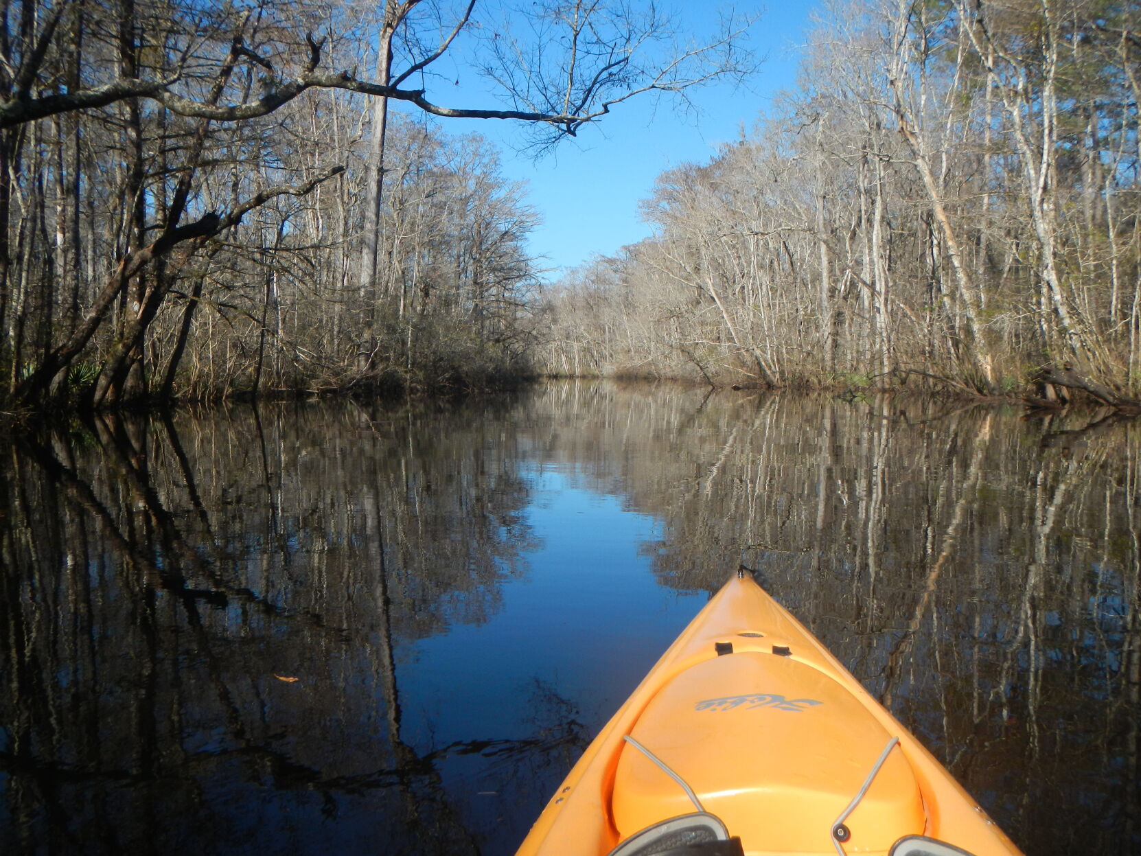 Kayaking on Wambaw Creek